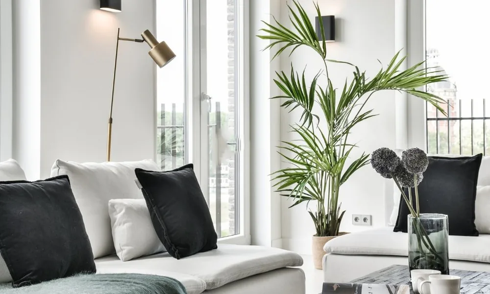  AU Aspire Silicon City Gallery 